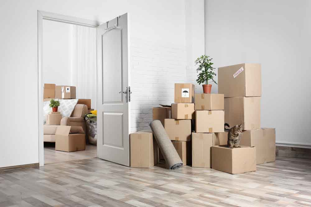 Call One Of The Leading Professional, Affordable, and Reliable Moving Companies
